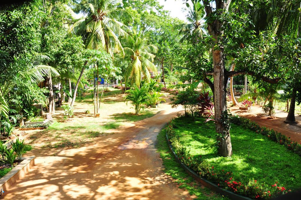Leopard City Hostel Tissamaharama Exterior foto